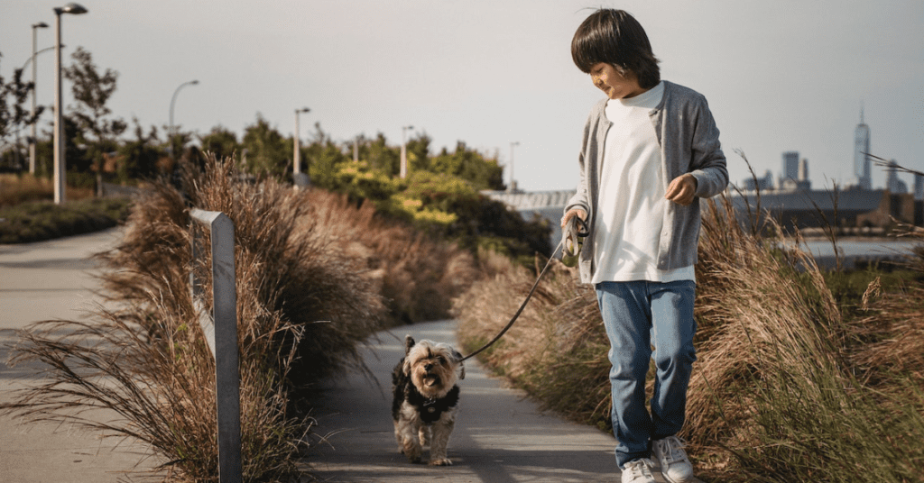 dog walking jobs for 14 year olds