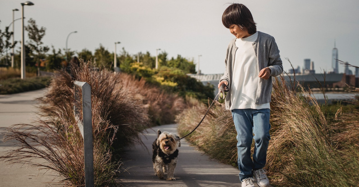 dog-walking-jobs-for-14-year-olds-mommy-answers