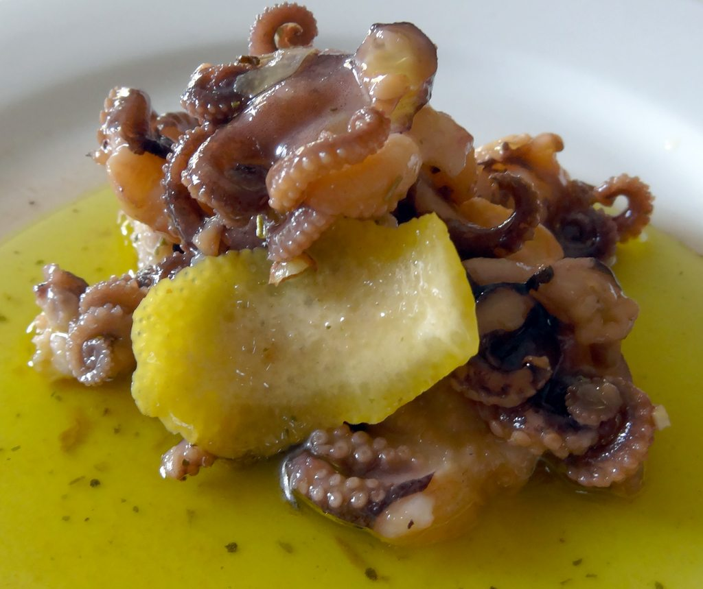pickled octopus
