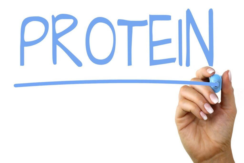 protein